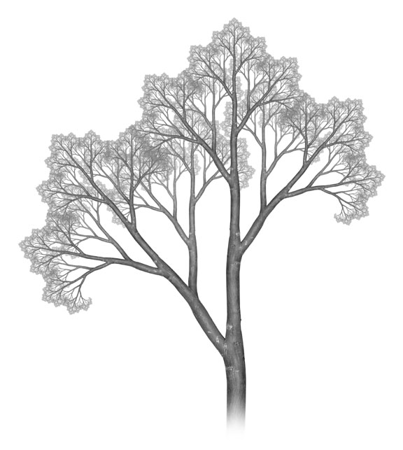Digital art print of a photographic fractal tree, straight and tall.
