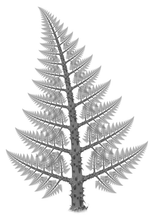 Digital art print of a photographic fractal tree, fernlike with thorns.